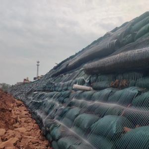 1m Width High Strength PP/HDPE Uniaxial Plastic Geogrid for Retaining Wall 110kn