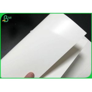 Single Side Coated White Board Food Grade 300gr & 15gr PE Making To - Go Box