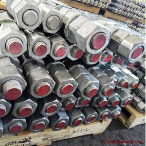 1-1/4"X24" F1554 Grade 55 Galvanized Anchor Bolt Building & Construction