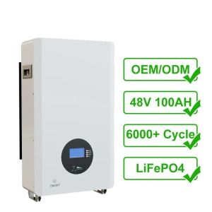 China Versatile 48v 5kwh 10kwh 100ah 200ah Solar Energy Storage Battery for Home Power Wall on sale