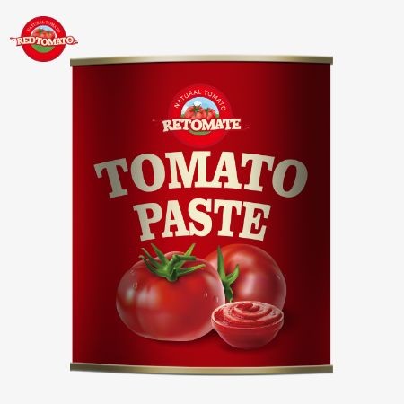 Buy 800g Canned Tomato Paste That Adhere To International Quality And Safety Standardsencompassing ISO HACCP BRC And FDA at wholesale prices