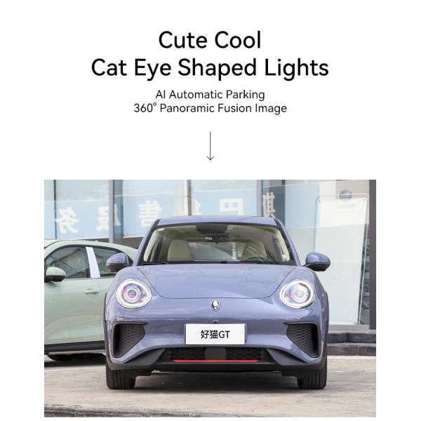 2650mm Wheelbase ORA Funky Cat GT/ORA Funky Cat Balei Mao Energy Vehicles Pure Electric 171hp Electric Utility Vehicle