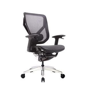 Vida X Mesh Ergonomic Executive Chair Office With Lumbar Support