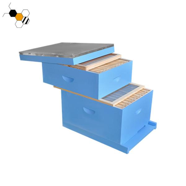 Buy Langstroth Painted Blue Beekeeping Beehive 10 Frames at wholesale prices