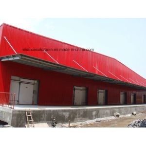 Small and Medium Cold Storage Room Hinged Door for Temperature -10-0C in Cold