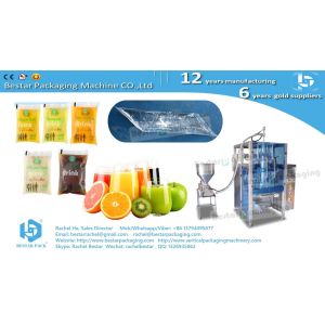 1KG coconut water pouch packaging machine BSTV-550P