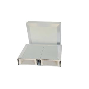 White Stainless Steel Hollow MGO Sandwich Panel For Cleanroom Applications