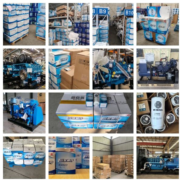 High pressure fuel pump type P9 with speed controllertype RSUV for engine 617023000700(B610500)