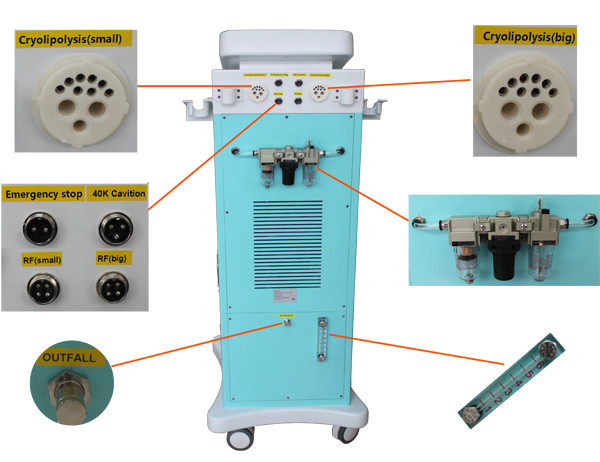 Buy Cavitation RF Cryolipolysis Slimming Machine 1000W For Weight Loss at wholesale prices