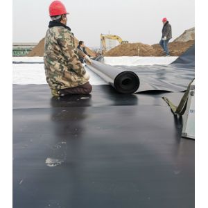 Double Texture HDPE Geomembrane for Tarpaulin Fish Farming Tank Double Smooth