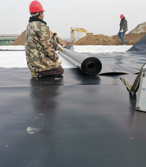 Double Texture HDPE Geomembrane for Tarpaulin Fish Farming Tank Double Smooth