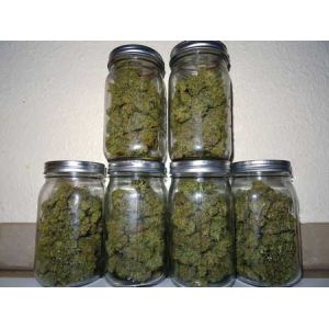 ETL 3.0umol/J 1000W Greenhouse Grow Lights