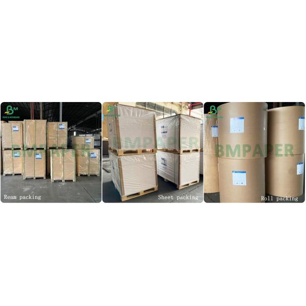 White Top Sheet Kraft Back Carton Board Food Directly White Top Kraftliner