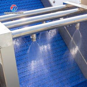 180KG Multifunctional vegetable washing machine eddy current washing machine