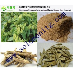 herb medicine ashwagandha extract powder, 5% withanolides , Withania Somnifera L