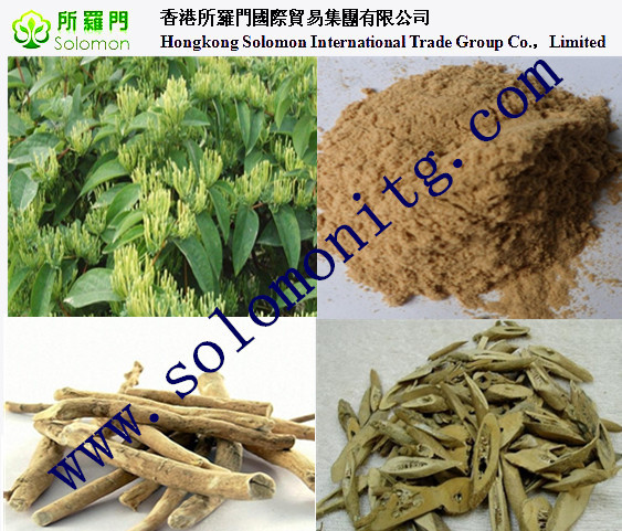 herb medicine ashwagandha extract powder, 5% withanolides , Withania Somnifera L