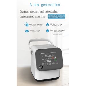 China Oxygenerator Portable O2 Generator Concentrator 1l With Nebulizer on sale China Oxygenerator Portable O2 Generator Concentrator 1l With Nebulizer on sale