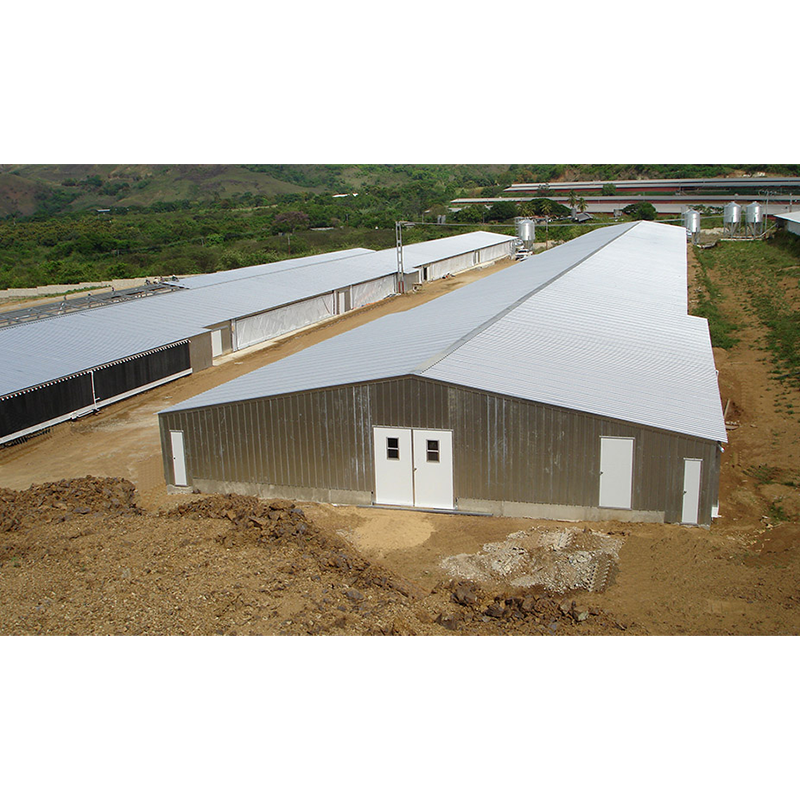 China Agricultural Steel Prefabricated Farm Building Chicken House on sale