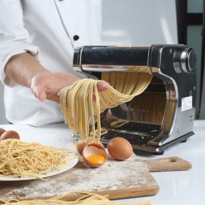 180mm Shule Pasta Maker 70W Electric Pasta And Noodle Maker