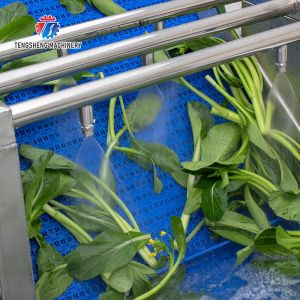 Watercress Bubble Generating Vegetable Fruit Cleaning Machine , Apricot