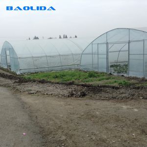 High Tunnel Vegetables Planting Single Span Vegetable Tunnel Plastic Film