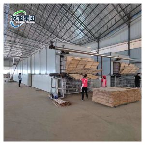 Heavy Industry Fully Automatic Veneer Wood Wall Panel Sheet Desiccation