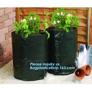 Nine pockets cheap vegetable grow planter bag,china manufacture riptop