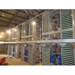 H Type Egg Layer Chicken Cage With Full Automatic System Hot Dip Galvanized