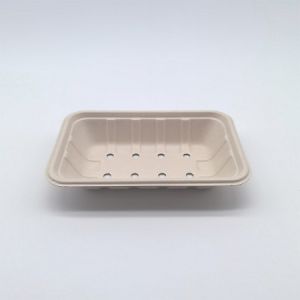 Compostable Fruit Biodegradable Bagasse Tableware Food Container With Hole