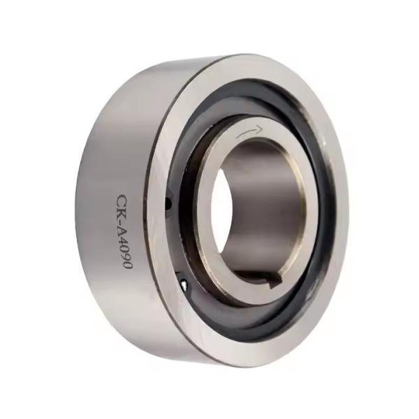 GCr15 SPRAG Mechanical One Way Cam Clutch Freewheel Bearing for Heavy-Duty Applications