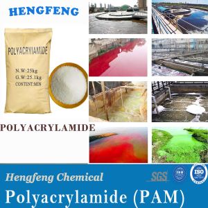 premium pam water treatment Cationic Polyacrylamide Price in China Supply