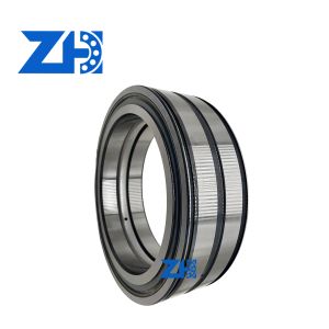 SL04200-PP SL04200PP Cylindrical Roller Bearing for Precision Equipment