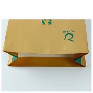 CMYK Pantone Custom Printed Paper Bags With Handles 300gsm