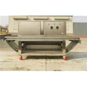 Quality chain garlic peeling machine, garlic peeler, big garlic peeling machine for sale