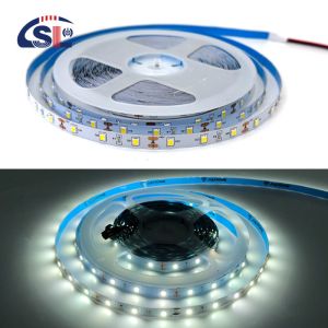 12V 60leds/m 6000K-6500K SMD 2835 White Addressable Led Backlight Strip Lights