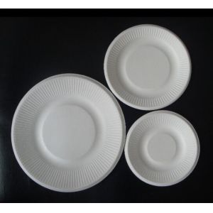 Full Biodegradable Oval Compostable plastic Corn Starch plates,Eco- Friendly