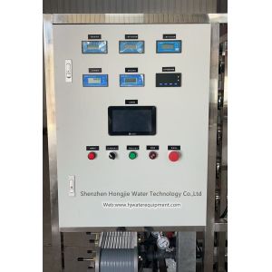 1T/H Reverse Osmosis System Secondary Stage With Simens PLC Control Cabinet For