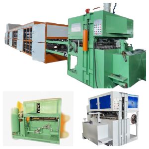 Enviroment Friendly Eggs Packaging Paper Egg Tray Machine / Pulp Molding