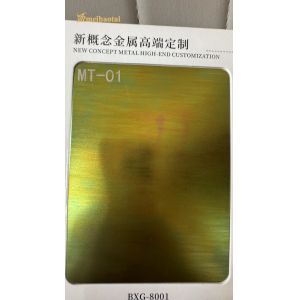 Ss304 201 New Style Color Standbast Stainless Steel Sheet Decoration Home ,Wall