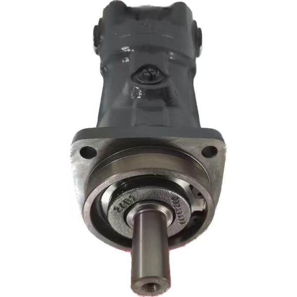 A2FM Series Of A2FM56/63 A2FM80 A2FM90 A2FM107 A2FM125 Axial Piston A2FM Hydraulic Motor High Pressure Cast Iron