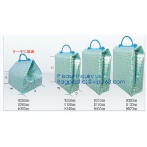 Manufacturer customized portable student instant bag aluminum foil thermal