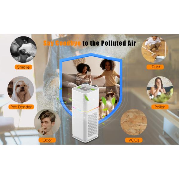 Small Portable HEPA Pet Dander Air Purifier For Smoke Dermatoglyph Household