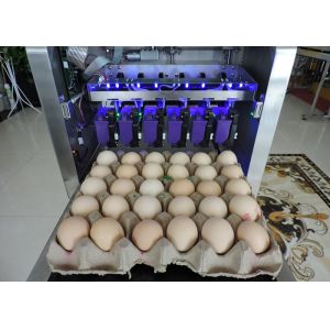 Simple Operation Egg Date Code Stamp Machine With Low Diffusion Printing Ink