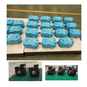 Customized Agricultural Hydraulic Pumps Sugarcane Harvesterl Hydraulic Motor