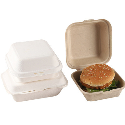 Buy Sugarcane Bagasse Biodegradable Takeaway Boxes ASTM6400 15*15*8cm at wholesale prices