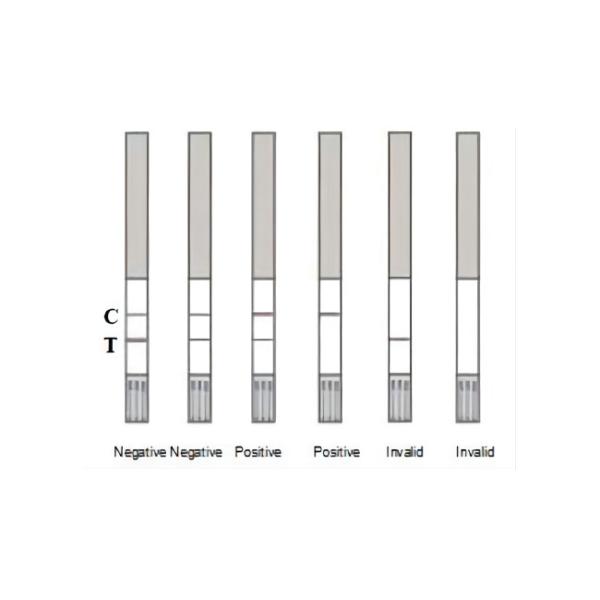 Florfenicol Rapid Test Strips For Tissue 96 Tests/Kit 0.1 Ppb