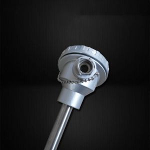 Customized ODM Support 1200 Degree Stainless Steel Temperature Instrument