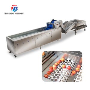 Fruit bubble washing and sorting production line Fruit Vegetable FOOD processing