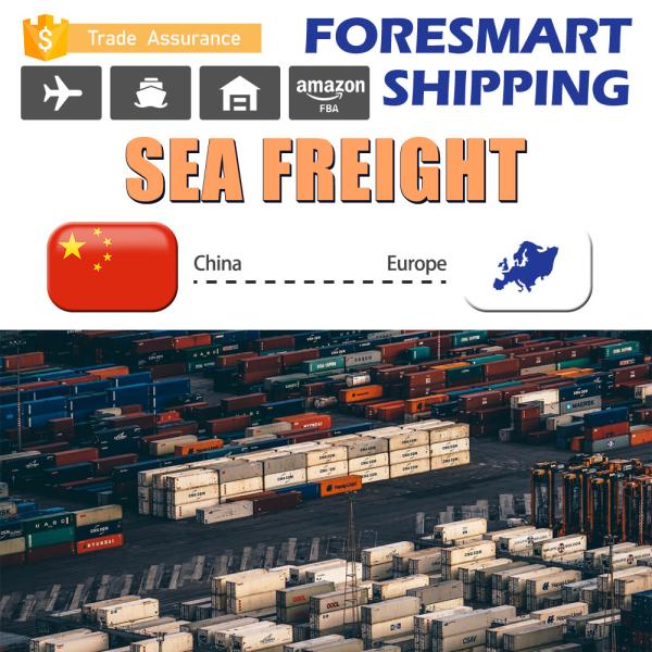 Buy China To Europe LCL Sea Shipment LCL Cargo Shipping at wholesale prices