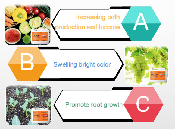 Seaweed Extract Organic Water Soluble Liquid Fertilizer Amino Seaweed